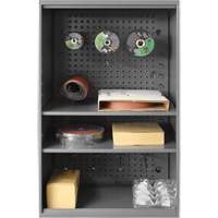 Abrasive Storage Cabinet with Pegboard, Steel, 19-7/8" x 14-1/4" x 32-3/4", Grey TER219 | Rideout Tool & Machine Inc.