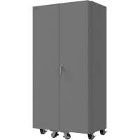 Empty Mobile Cabinet TER225 | Rideout Tool & Machine Inc.
