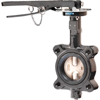 Butterfly Valves - Series BFV, 2" Pipe, 225 PSI THZ622 | Rideout Tool & Machine Inc.