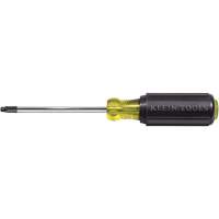 Tournevis Klein a/manche caoutchout&eacute;-Tournevis Torx &agrave; tige ronde Rideout Tool & Machine Inc.