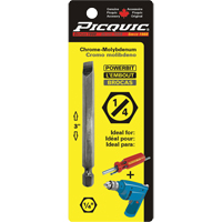 Powerbit, Slot, 1/4" Tip, 1/4" Drive Size, 3" Length Rideout Tool & Machine Inc.