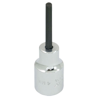 Embout de rechange, 5 mm x 1-1/5" lo, Prise 3/8" Rideout Tool & Machine Inc.