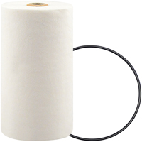 P7247 Spin-On Coolant Filter with BTE Formula Rideout Tool & Machine Inc.