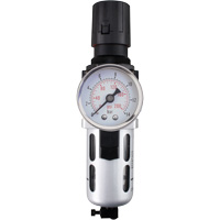 Modular Air Filter/Regulator (Gauge Included), 1/4" NPT, 145 PSI, 0.3 fl. oz. Capacity Rideout Tool & Machine Inc.