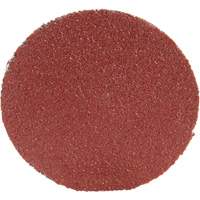 Roloc Disc 361F, 1-1/2" Dia., P100 Grit, Aluminum Oxide Rideout Tool & Machine Inc.