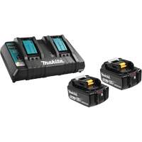 Li-Ion Battery & Dual-Port Charger Kit, 18 V, Lithium-Ion UAE515 | Rideout Tool & Machine Inc.