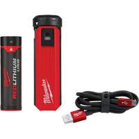Redlithium™ USB Charger & Power Source Kit, 4 V, Lithium-Ion UAG279 | Rideout Tool & Machine Inc.