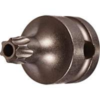 Embout &agrave; ins&eacute;rer, Torx inviolable, 25 x 1" lo, Prise 3/8" Rideout Tool & Machine Inc.