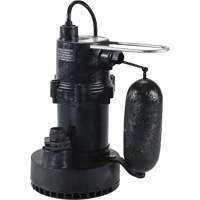 Pompe de puisard de série 5.5, 35 gal./min, 115 V, 3,5 A, 1/4 CV UAK135 | Rideout Tool & Machine Inc.