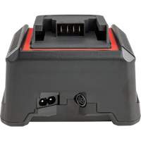 2.5 Ah & 5.0 Ah Battery Charger, 120 V, Lithium-Ion UAK313 | Rideout Tool & Machine Inc.