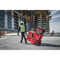 Packout Rolling Tool Chest, 15-4/5" x 34" x 28", Red Rideout Tool & Machine Inc.