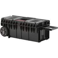 Arx Long Rolling Tool Chest, 31-1/5" x 15-1/5" x 12-7/10", Black Rideout Tool & Machine Inc.