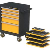 Mechanics Tool Set in Modular Foam Trays with Storage Unit, 247 Pieces Rideout Tool & Machine Inc.