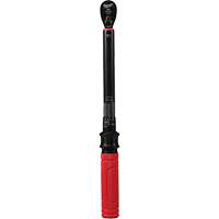 Torque Wrench, Click, 3/8" Square Drive, 20 - 100 in-lbs/27.1 - 135.6 N.m Rideout Tool & Machine Inc.