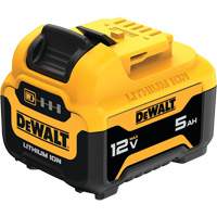 Bloc-pile MAX*, Lithium-ion, 12 V, 5 Ah Rideout Tool & Machine Inc.