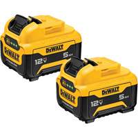 Bloc-piles Max*, Lithium-ion, 12 V, 5 Ah Rideout Tool & Machine Inc.