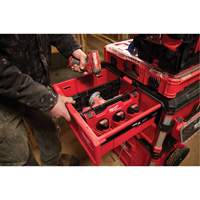 Diviseur pour boîtes &agrave; outils &agrave; tiroirs Packout Rideout Tool & Machine Inc.