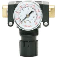 MODULAIR 200 Acetal Piston Regulator, 1/4" NPT, 150 PSI Max. PSI, In Line/Modular Rideout Tool & Machine Inc.