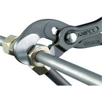 Pince Raptor, 10" Rideout Tool & Machine Inc.