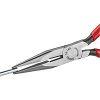 Long Nose Pliers with Cutter, 6-1/4" L Rideout Tool & Machine Inc.