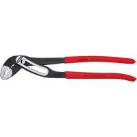 Pince multiprise auto-bloquante Alligator&reg;, 12" Rideout Tool & Machine Inc.