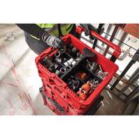 Bac &agrave; profil bas PACKOUT, 15" x 18-5/8" x 6-5/8", Noir/Rouge Rideout Tool & Machine Inc.