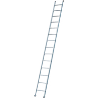 Industrial Heavy-Duty Extension/Straight Ladders, 8', Aluminum, 300 lbs., CSA Grade 1A VC273 | Rideout Tool & Machine Inc.