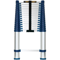 Contractor and Utility Ladders