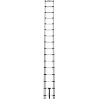 Telescopic Ladder, 3' - 15.5', Aluminum, 250 lbs. Capacity, Type 1 VC252 | Rideout Tool & Machine Inc.