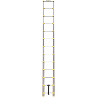 Telescopic Ladder, 3' - 12', Aluminum, 250 lbs. Capacity, Type 1 Rideout Tool & Machine Inc.