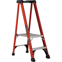 Industrial Extra Heavy-Duty Pro Platform Stepladders (FXP1800 Series), 2', 375 lbs. Cap. VD413 | Rideout Tool & Machine Inc.