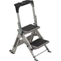 Tilt & Roll Step Stool Ladder, 2 Steps, 23" x 21" x 34.50" High VD438 | Rideout Tool & Machine Inc.
