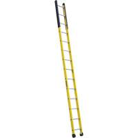 Single Manhole Ladder, 14', Fibreglass, 375 lbs., CSA Grade 1AA VD465 | Rideout Tool & Machine Inc.