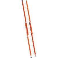 &eacute;chelle coulissante BuildMan, Cap 300 lb, 16' h, Calibre 1A Rideout Tool & Machine Inc.