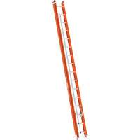 &eacute;chelle coulissante BuildMan, Cap 300 lb, 32' h, Calibre 1A Rideout Tool & Machine Inc.