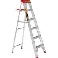 Step Ladder with Paint Tray, 6', Aluminum, 200 lbs. Capacity, Type 3 Rideout Tool & Machine Inc.