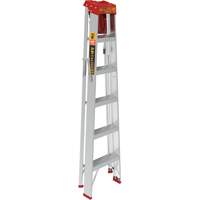 Step Ladder with Paint Tray, 6', Aluminum, 200 lbs. Capacity, Type 3 Rideout Tool & Machine Inc.