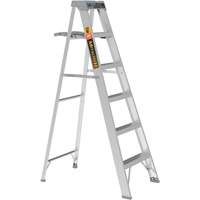 Step Ladder with Paint Tray, 6', Aluminum, 225 lbs. Capacity, Type 2 Rideout Tool & Machine Inc.