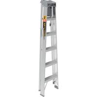 Step Ladder with Paint Tray, 6', Aluminum, 225 lbs. Capacity, Type 2 Rideout Tool & Machine Inc.