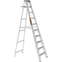 Step Ladder with Paint Tray, 10', Aluminum, 225 lbs. Capacity, Type 2 Rideout Tool & Machine Inc.