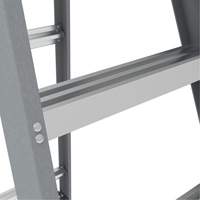 Step Ladder with Paint Tray, 6', Fibreglass, 225 lbs. Capacity, Type 2 Rideout Tool & Machine Inc.