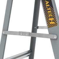 Step Ladder with Paint Tray, 6', Fibreglass, 225 lbs. Capacity, Type 2 Rideout Tool & Machine Inc.