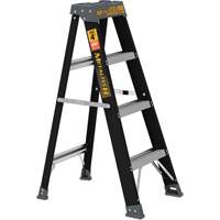 Step Ladder, 4', Fibreglass, 250 lbs. Capacity, Type 1 Rideout Tool & Machine Inc.