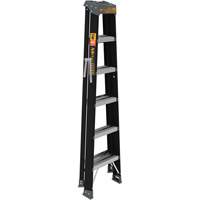 Step Ladder, 6', Fibreglass, 250 lbs. Capacity, Type 1 Rideout Tool & Machine Inc.