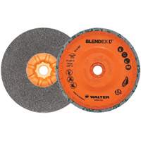Blendex U™ Finishing Cup Disc, 5" Dia., Fine Grit, Silicon Carbide VV859 | Rideout Tool & Machine Inc.