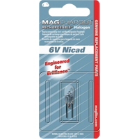 Ampoule de rechange pour lampe de poche rechargeable Rideout Tool & Machine Inc.