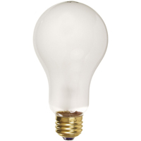 Economy Line Incandescent Lamps Rideout Tool & Machine Inc.