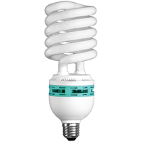Hang-A-Light<sup>®</sup> Work Light Bulb, 105 W XC755 | Rideout Tool & Machine Inc.