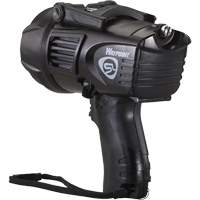 Waypoint&reg; Pistol Grip Spotlights, LED, 550 Lumens, C Batteries Rideout Tool & Machine Inc.