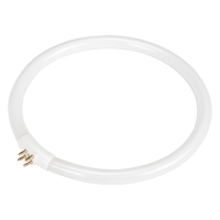 Ampoule fluorescente de rechange pour lampes-loupes Rhinomag, 22 W Rideout Tool & Machine Inc.